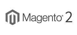 Magento 2.x